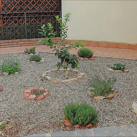 Casa Dei Gatti Apartment Civezza